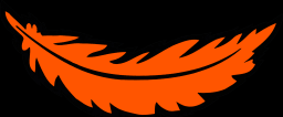 District Logo